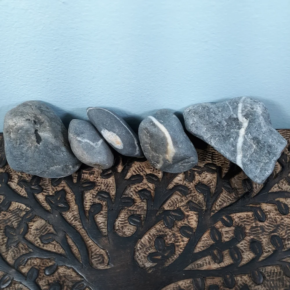 5 Banded Stones East Coast Beach Rocks Raw Rough Mineral Specimens Gray White